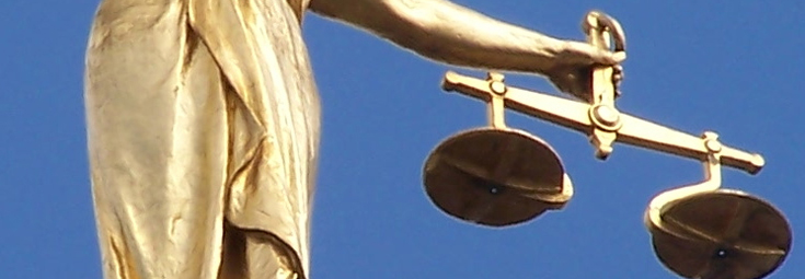 The Legal Profession